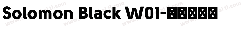 Solomon Black W01字体转换